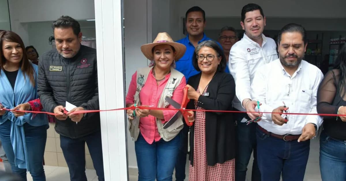 Estantes con productos de abasto y limpieza exhibidos dentro de una tienda