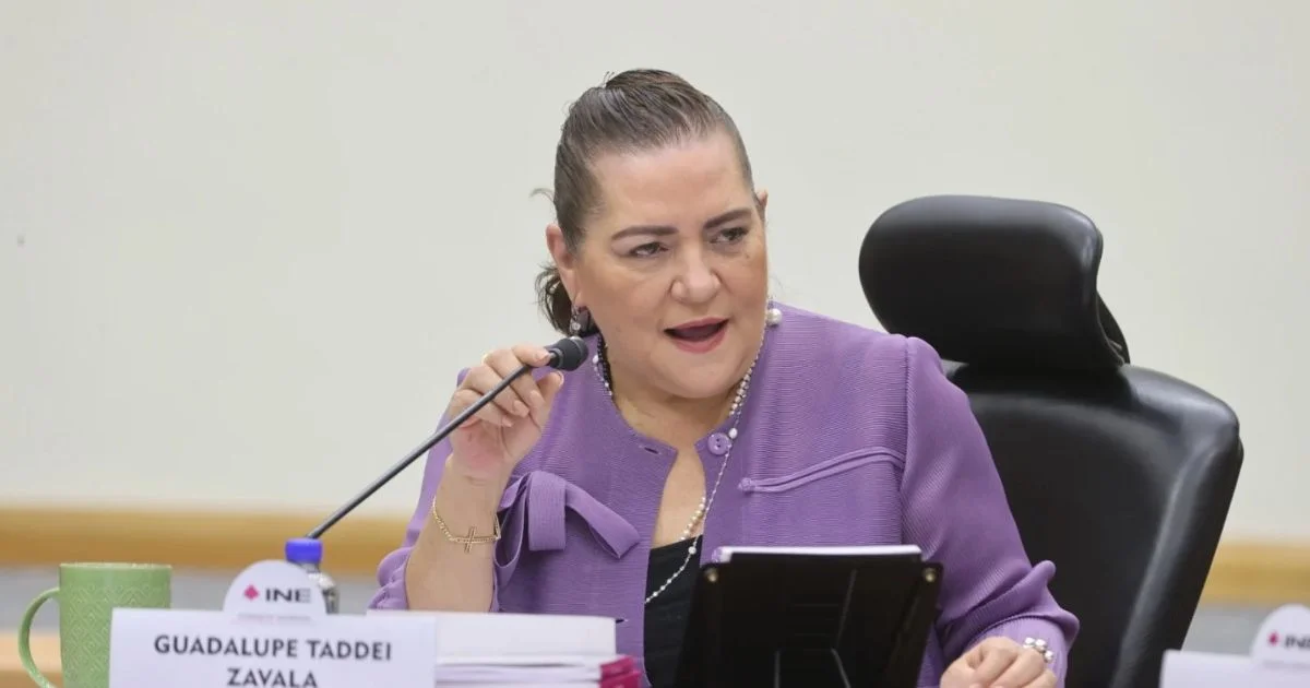 Guadalupe Taddei habla ante un micrófono en una sesión del INE.
