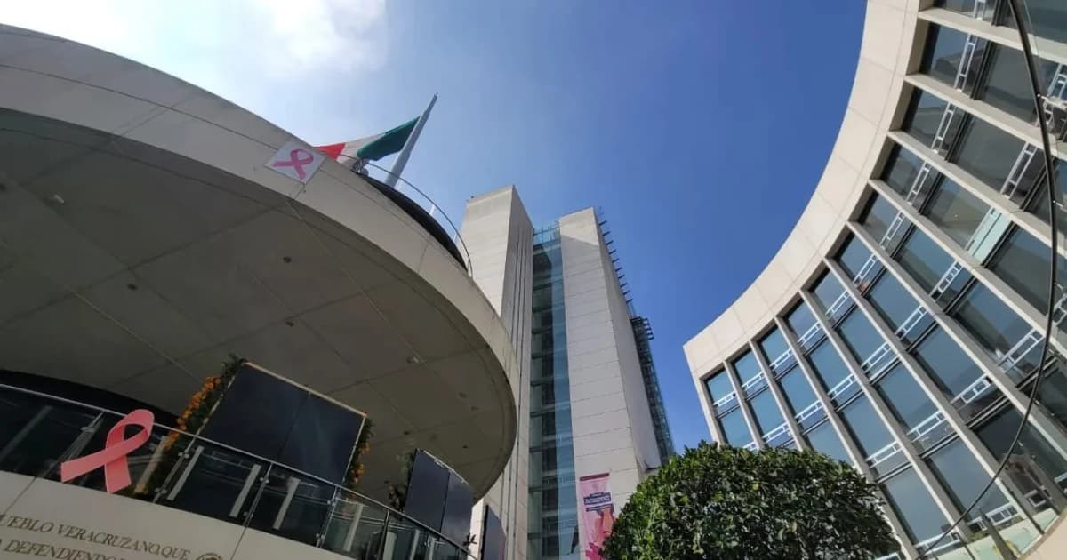 Fotografía original de Oxígeno Puro MX de edificios del Senado de la República, con bandera de México y moños rosas visibles.